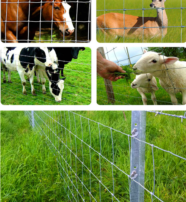 Galvanised Rural Farm 200m Roll Woven Wire Field Fence