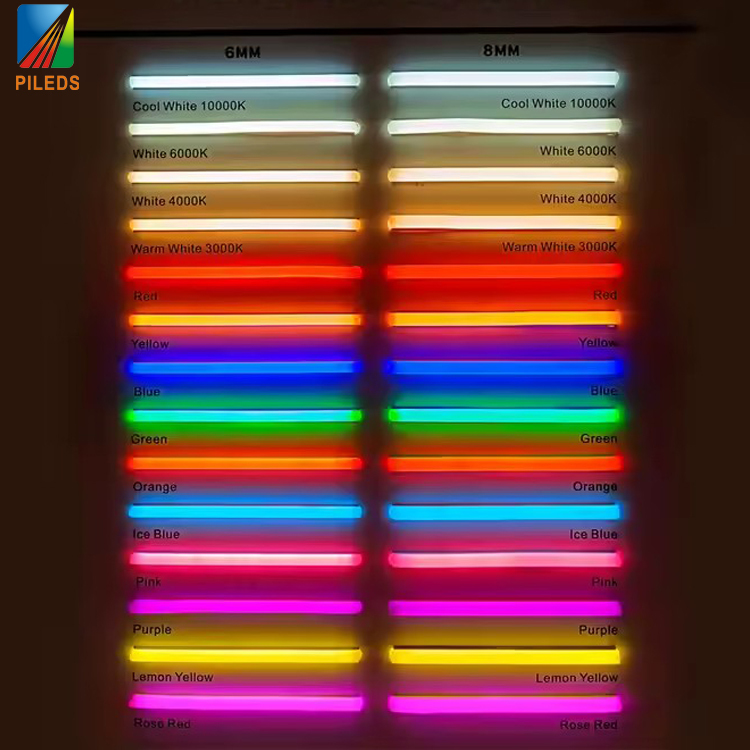 12V Landscape Application LED Neon Lights with Flexible Silicone Material and SMD 2835 Bulbs for Outdoor Us