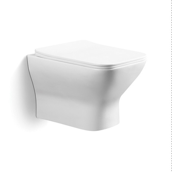 ALLWELL Rimless Wall Hung Toilet Rimless P Trap Ceramic WC in Wall Suspended Toilet