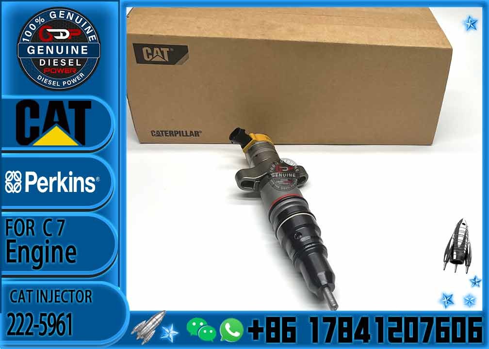 Diesel Engine Common Rail Fuel Injector 222-5961 235-5261 238-8901 241-3228 241-3238 241-3400 243-4502 268-1840