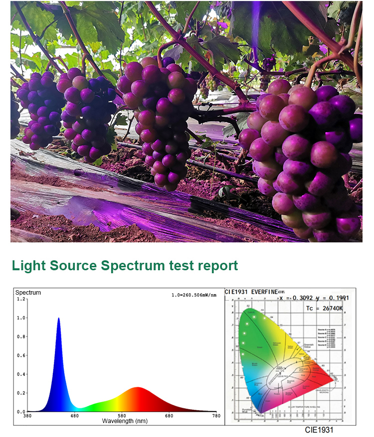 Samsung LED Type Full Spectrum Grow Light for Greenhouse 36w 45w 50w E27