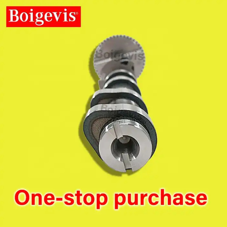 Audi VW Cc Ec Car Engine Camshaft And Bearing Bushes 06J 109 021 H, 06J 109 021 F