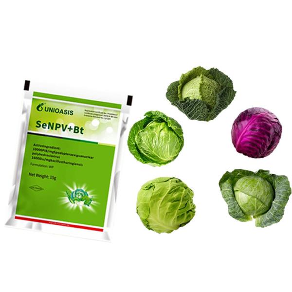 Natural Organic Insect Viral Pesticide SeNPV &Bt WP for Brassicaceous Vegetable
