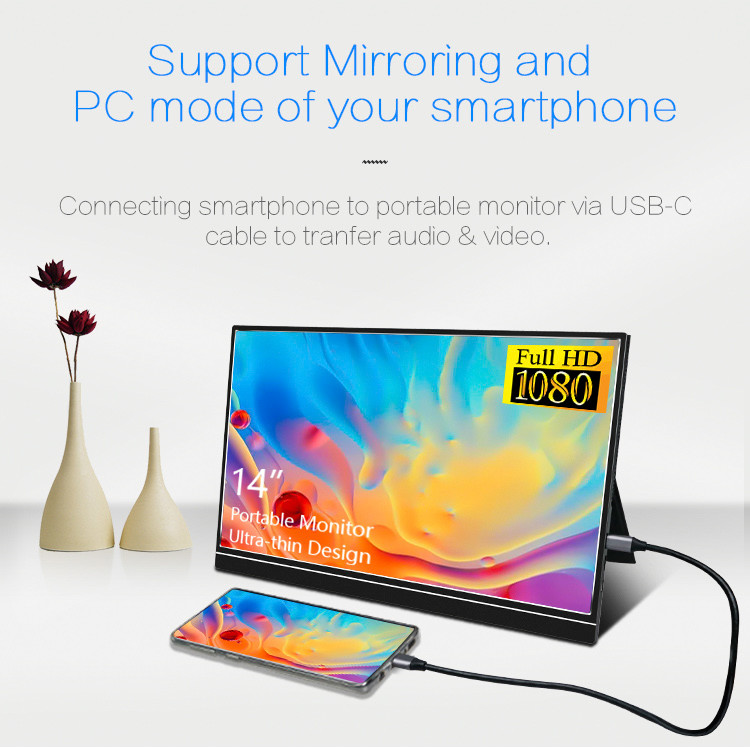 300cd/M2 Multiple OSD Language 1920*1080 14 Inch Portable Monitor