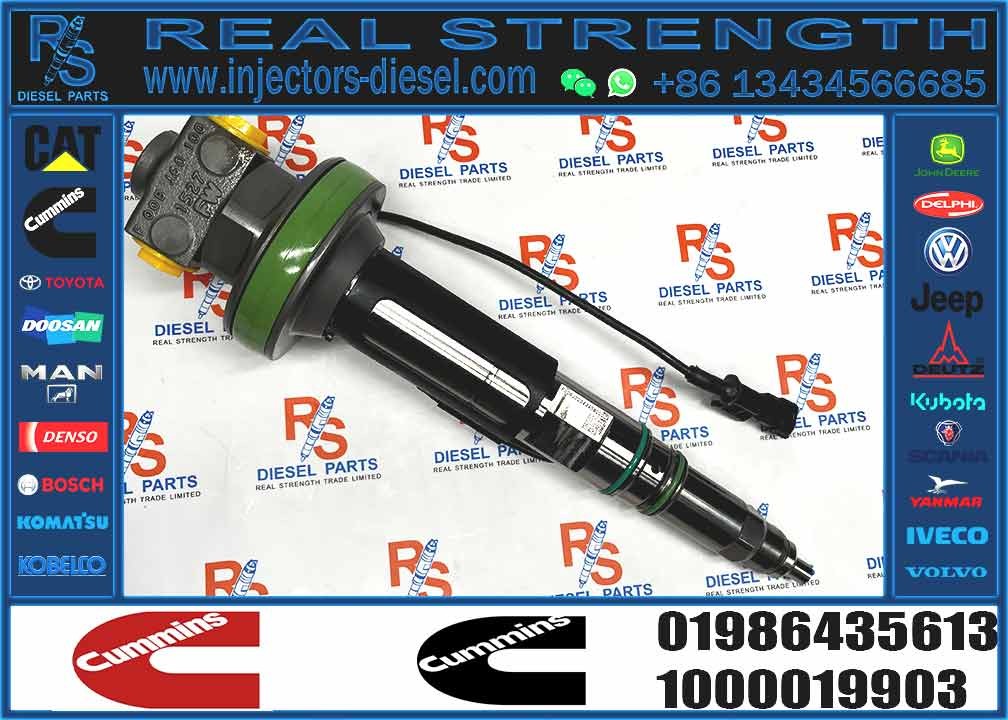 Auto Parts Common Rail Diesel Fuel Injector 1000019903 For Cummins QSK19 QSK38 QSK60 0986435912 Y431K05419