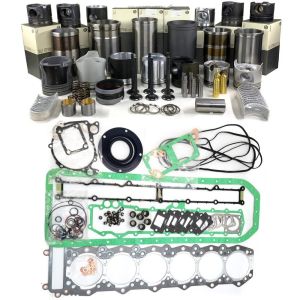 China 3066 3064 engine overhaul rebuild kit for  accessories shop on sale