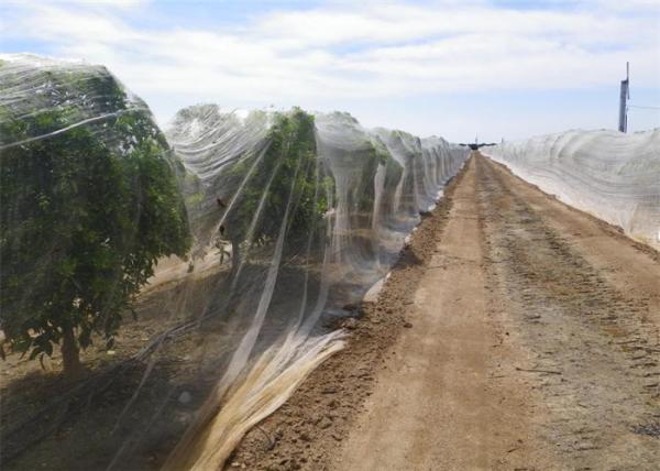 Smart Industrial Netting Systems Overhead Crop Netting ISO9001 Approved
