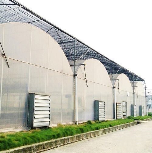 Electric 1380mm Centrifugal Exhaust Fan Push Pull Shutter Big Discount for Greenhouse Poultry Farm Industrial Air Cooling for