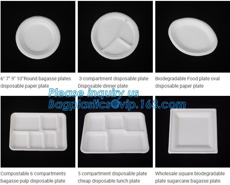 Meal Prep Containers Free Sample Bento Lunch Box Biodegradable Food Container Plastic Wheat Straw Lunch Box bagplastics