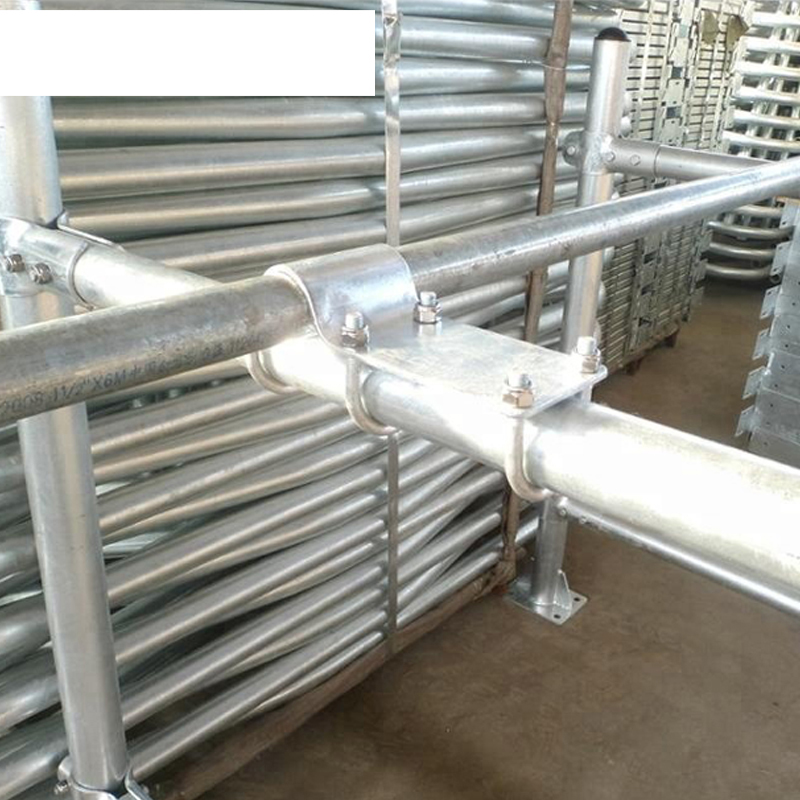 Customized BioRail Hot-Dipped Galvanized Dairy Cattle Freestands