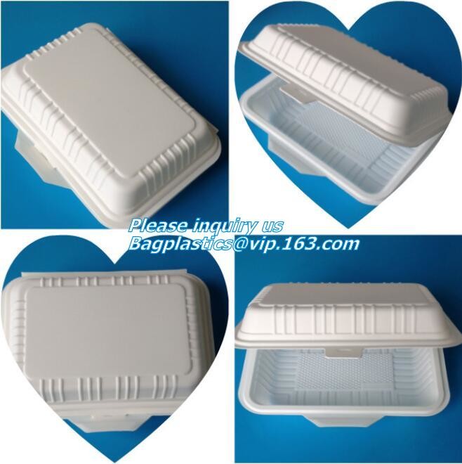Meal Prep Containers Free Sample Bento Lunch Box Biodegradable Food Container Plastic Wheat Straw Lunch Box bagplastics
