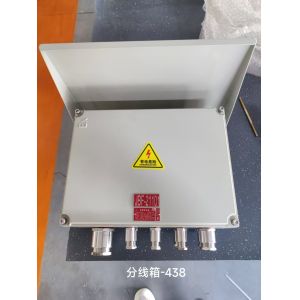 Wall-Mounted Explosion Proof Junction Box Protecting Your Electrical Equipment