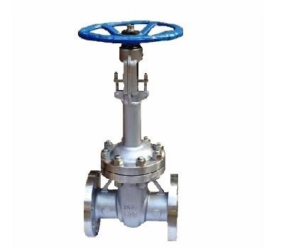 High Temperature Pressure DZ41Y stainless steel cryogenic gate valve flange 50 ~