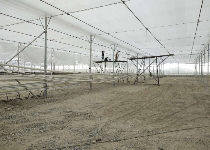 Steel Frame Polycarbonate Greenhouse For Vegetables Multi Span PC Board Greenhouse Agriculture Outdoor