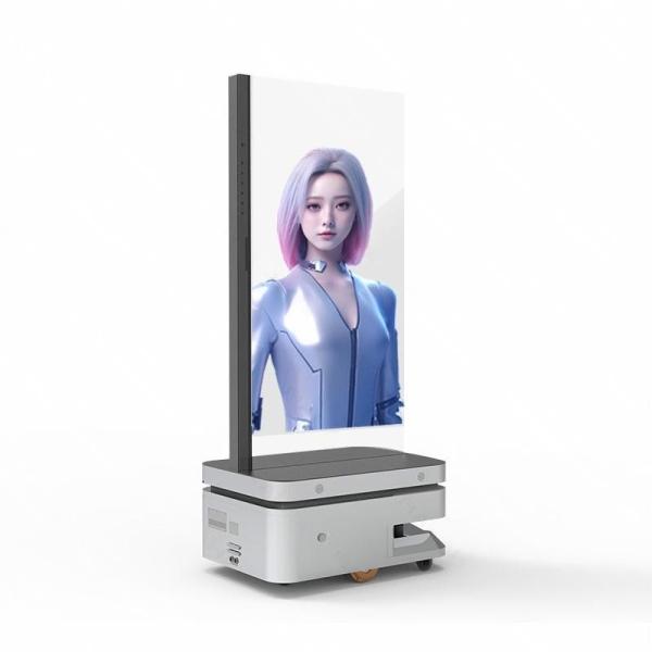 Quality AI Digital 55 Inch See Through Oled Screen Human Body Screen Suitable For Commercial Display for sale