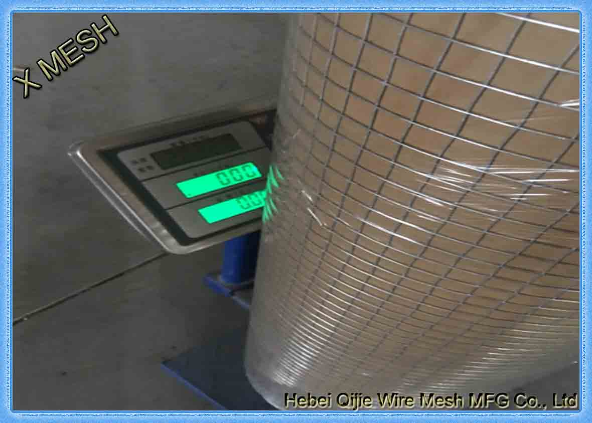 galvanized welded wire mesh rolls