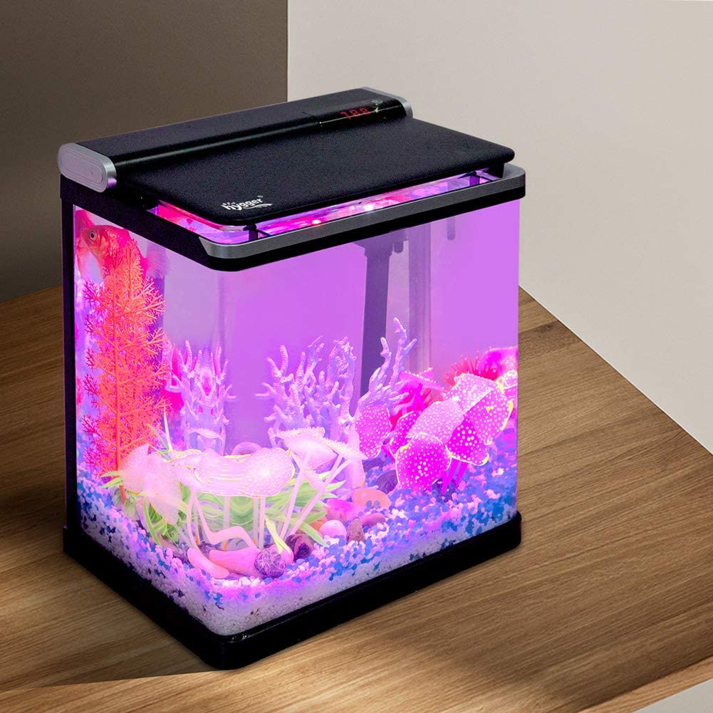 4 Gallon Smart Hygger Low Maintenance Fish Tank