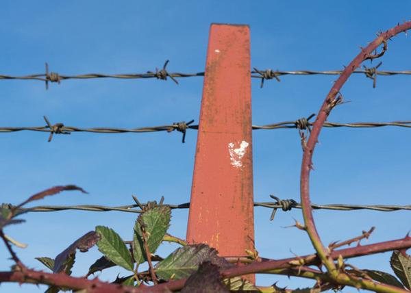 Hot-dipped Galvanized Security Barbed Wire High-Diameter Wire for Secure