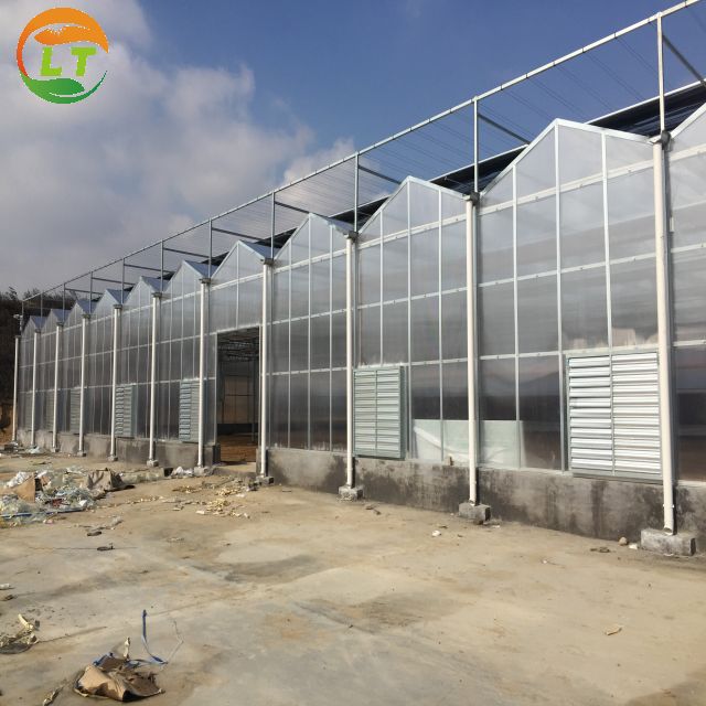 Multi-Span Agricultural Greenhouses with Hot Galvanized Steel Transparent Solar Panels