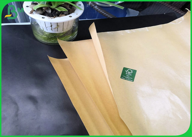 PE coated food grade paper