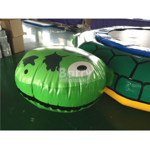 ODM Inflatable Turtle With Slide Durable 0.9mm Pvc Tarpaulin Material
