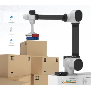 Advanced Automated Palletizing Solutions for Manufacturing Maximum Stacking Height 2500mm