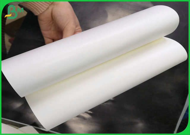 PE Coated SBS FBB Paper