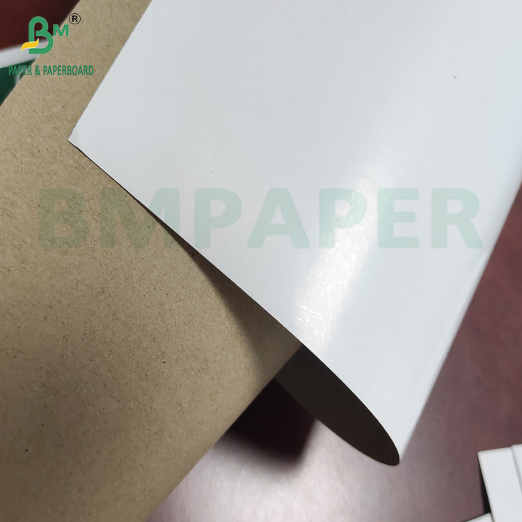 One Side White Coated Superior Strength Kraftliner White Top Paper 140g-220g