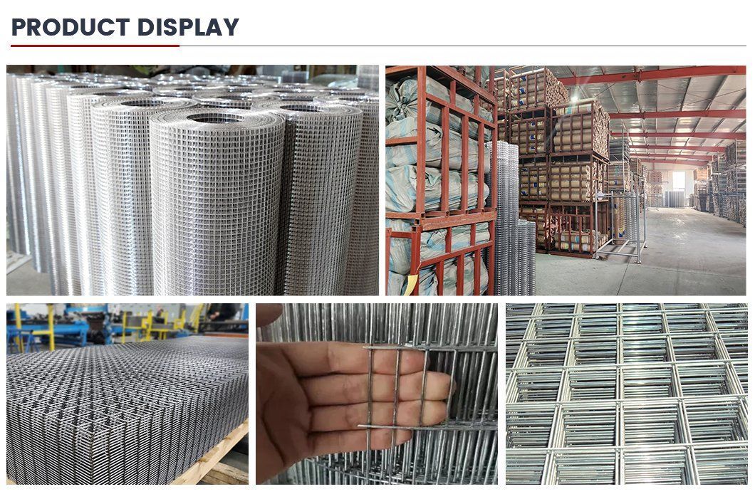 1/2X1 1X1 Hot DIP Galvanized Iron Welded Wire Cloth Mesh / 16 Gauge Electro Galvanized Square Hole Welded Mesh Rolls
