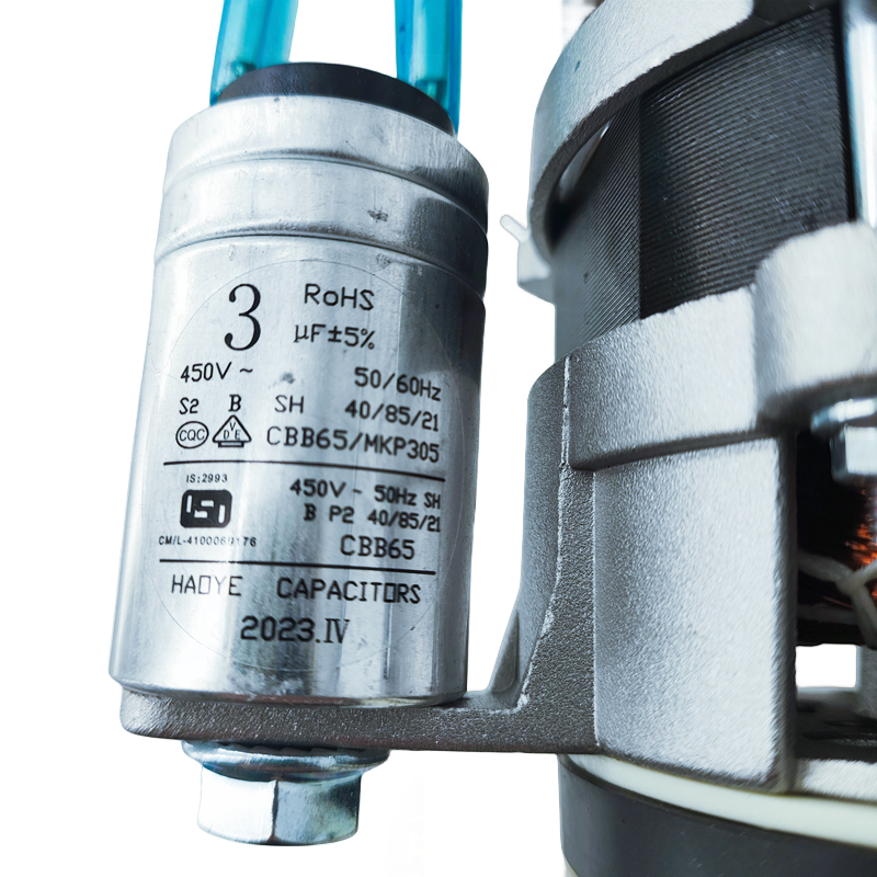 220V 50Hz 65/50W 0.28/0.23A Dishwasher Motor YXW48-2F-3 for Hansa/Korting/Gorenje