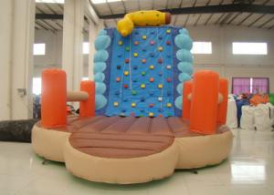  Inflatable Climbing Wall And Slide 5 X 3.8 X 4.5m , Big Blow Up Rock Climbing Wall Manufactures