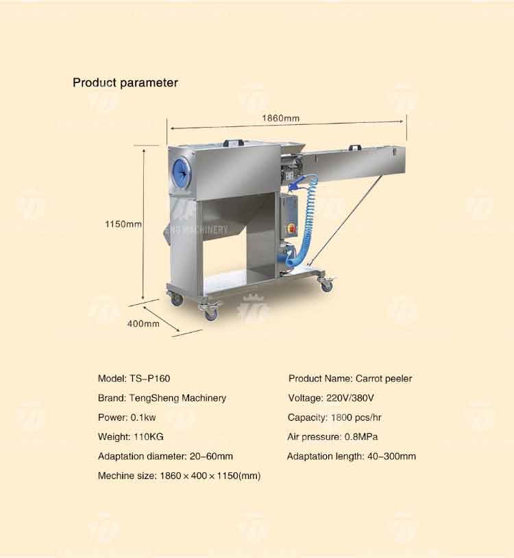 Automatic Stainless Steel Carrot Peeling Machine 0.1kw Food Processing Line