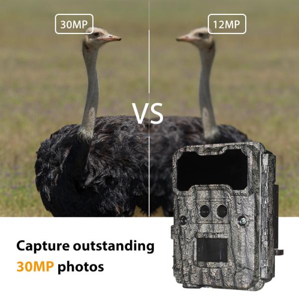 KW696 outdoor hunting camera dual-lens 30MP no-glow trail camera 1080p night