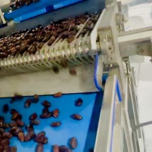  Smart Date Sorting Machine Combining AI Deep Learning Food-Grade Construction Intelligent Multi-Mode Large Capacity Output Manufactures