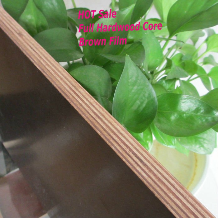 Construction Two Times Hot Press 4x8 Plastic Film Faced Ply