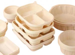  Thin Wall Compostable Disposable Food Container Making Machine Manufacturers Manufactures