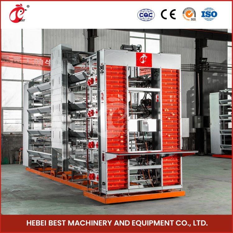 Galvanized Poultry Farming Cage System With 2.8-3.5mm Cage Wire Diameter Mia