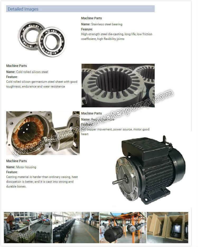 swimming pool pump motor
