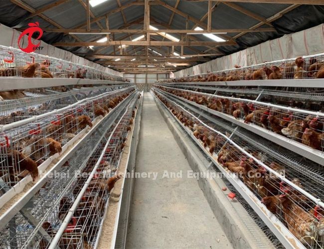 A Type 4 Tiers Silver Galvanized Layer Battery Cage System Adela