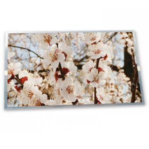 M090SWT3 R1 Online One-stop Shopping 9 Inch Industrial Control Lcd Display 1024