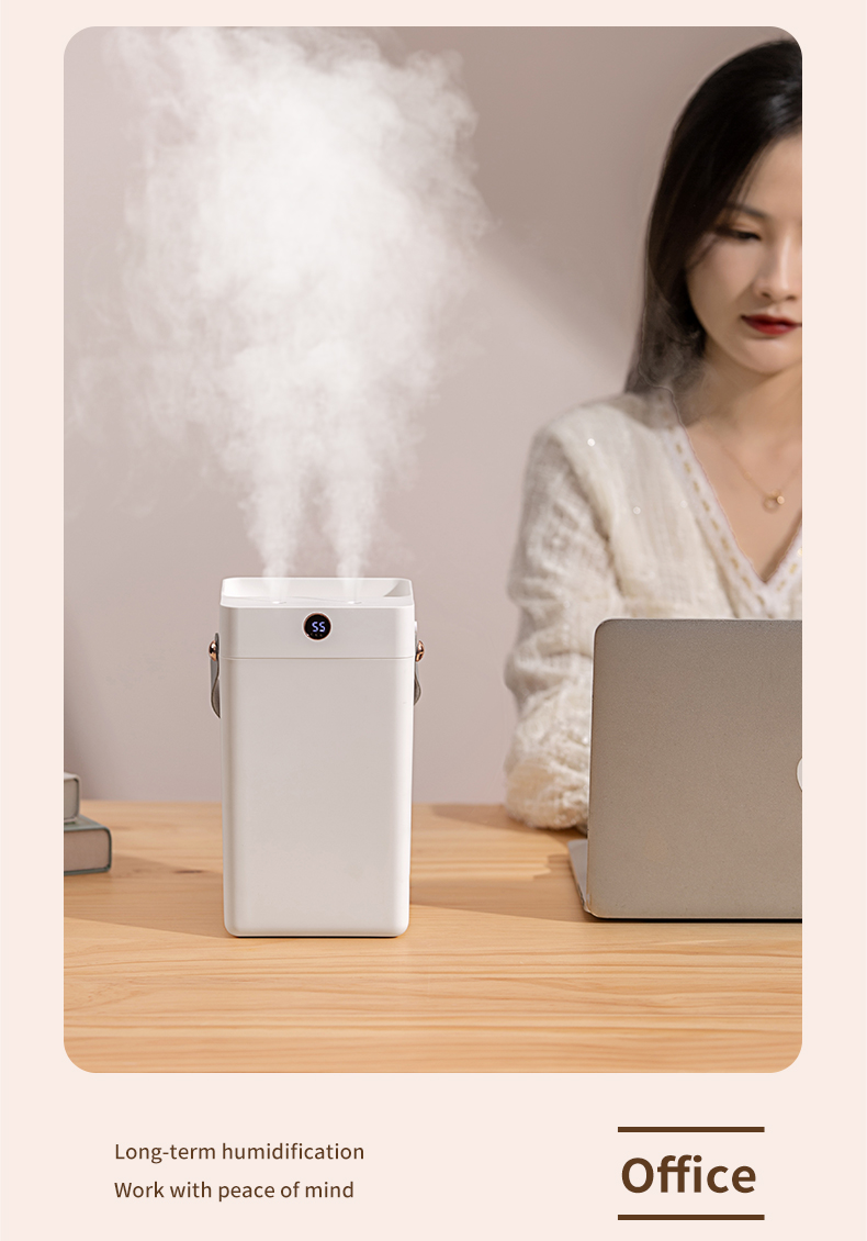 HOMEFISH Desktop 3L Double Spray Portable Ultrasonic Air Humidifiers For Office