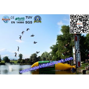 Exciting Inflatable Water Catapult Blob with 5 Years Warranty