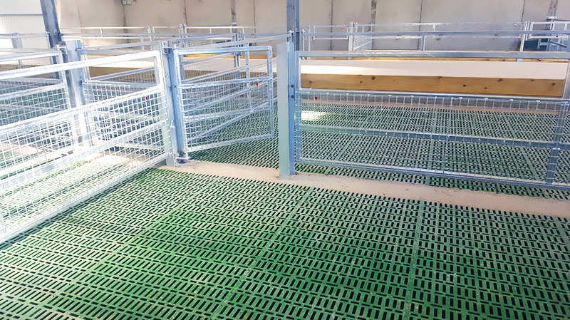 Aluminum Alloy Window Prefab Steel Construction Agricultural Building for Cattle Barn