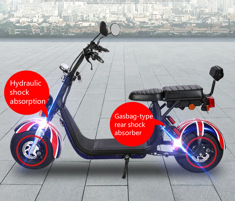 Harleyment Electric Scooter For Ladies Women 1500w Two Adults 2 Removable Batteries