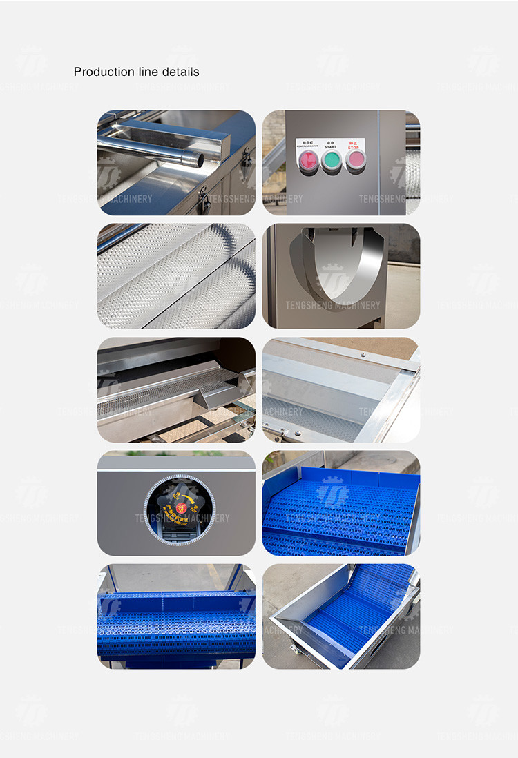 Stainless Steel Fruit And Vegetable Processing Line Brush Cleaning And Hoisting