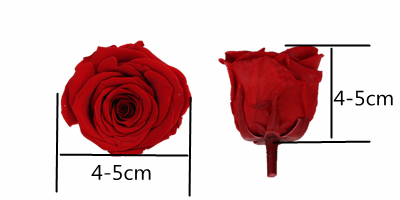 A Grade Preserved Rose Heads Customized Color Eternal Life Wedding Decoration
