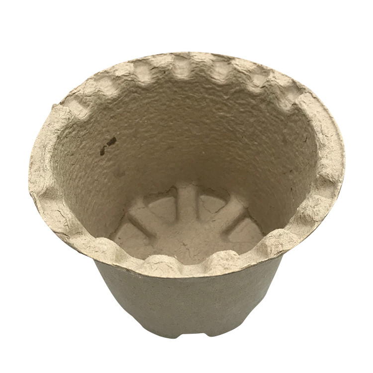 Sugarcane Bagasse Paper Molded Recycled Box Insert Trays Mold Pulp Packaging Biodegradable