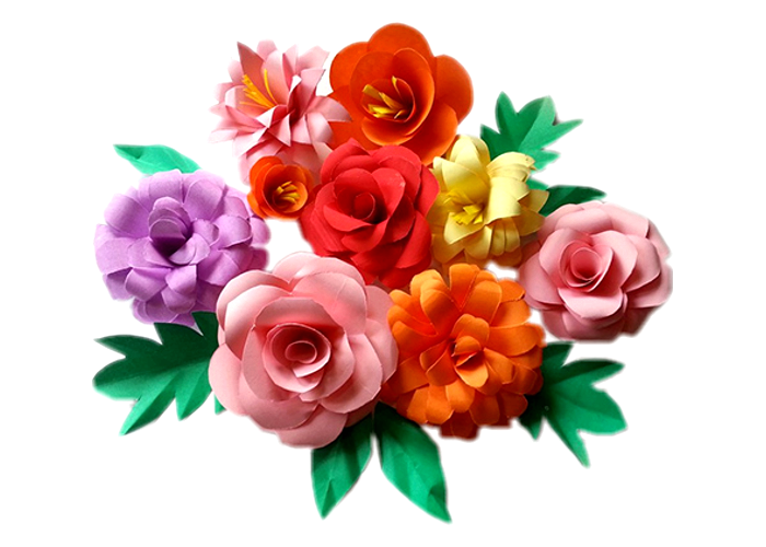 Uncoated Colour Printing Paper pulp dyeing colors in sheets in rolls