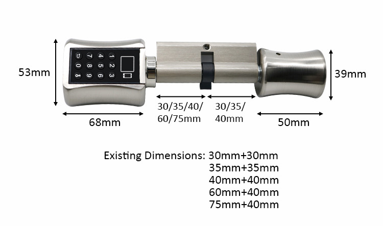 Zinc Alloy Wireless Biometric Fingerprint Door Lock Password Smart Door Lock