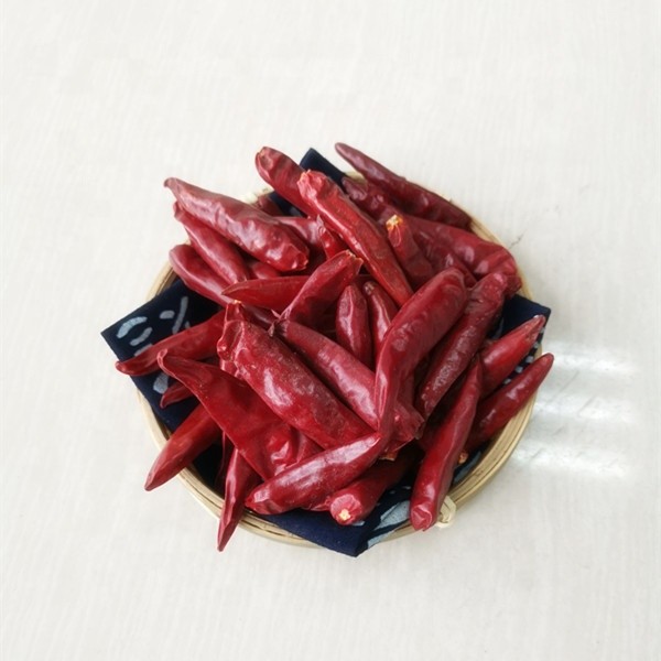 20000shu Stemless Dried Tien Tsin Chili Peppers Single Herbs